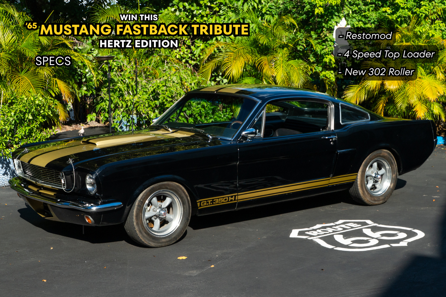 Giveaway Ticket - 3 for 1